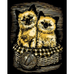 Krasfolie kittens