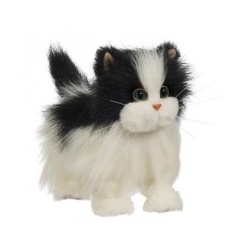 Fur Real Wandel Katje