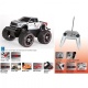Bekijken Carrera Remote control Ford F-150 Raptor silver