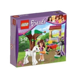 41003 Lego Friends Olivia's Veulen