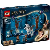 76432 Lego Harry Potter Verboden Bos: Magische Wezens
