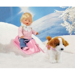 BabyBorn pop met slee en lopende hond