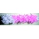 Bekijken Boa roze of wit