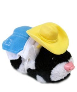 Zhuzhu winter kleding