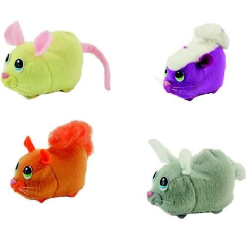 Coo coo critters