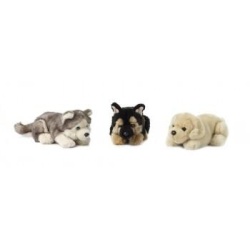 Pluche hond 20 cm