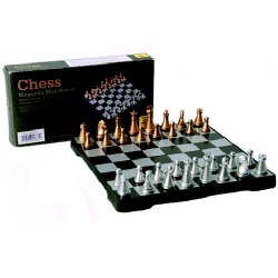 Schaken magnetisch reisspel