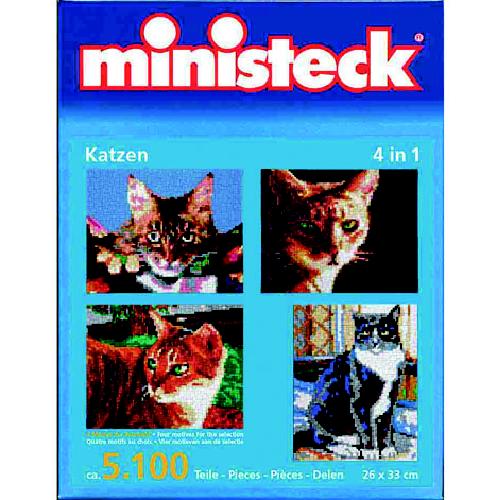 Ministeck katten 4 in 1
