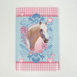 Vriendenboek paard 