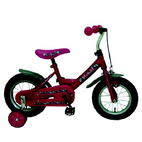 Fiets Meisje