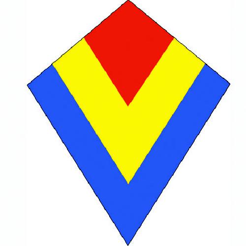 Vlieger Diamant 2-kleurig