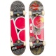 Bekijken Tech deck new & trashed