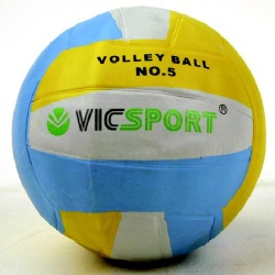 Volleybal