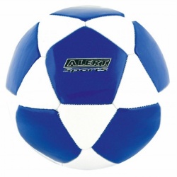Bal wit-blauw