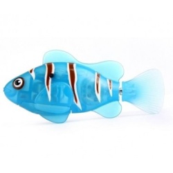 Robofish Clown Blue