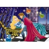 Puzzel Disney princess-classics (50)