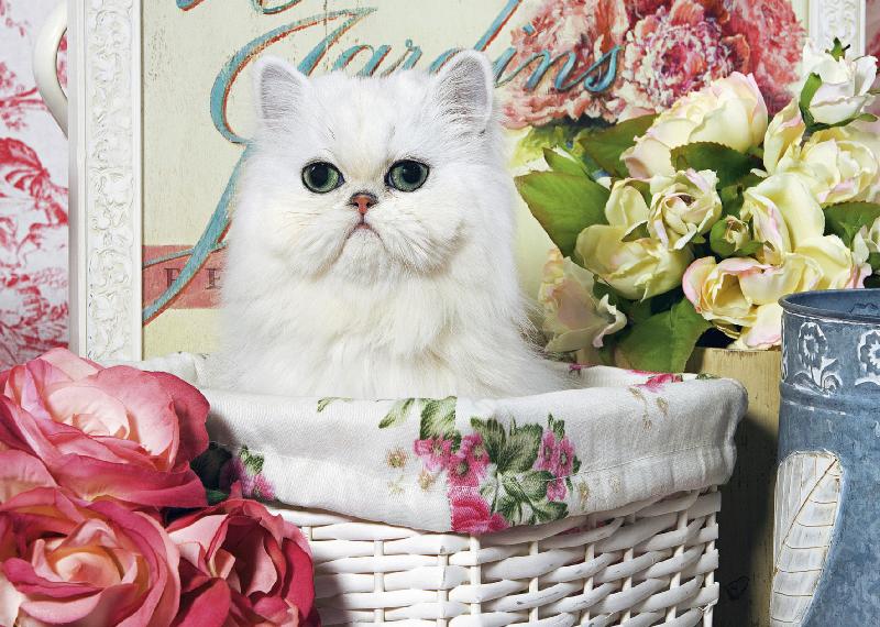 Puzzel kat in de mand (1000)