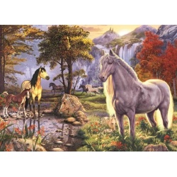 Jumbo Puzzel Verborgen Paarden (1000)