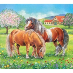PUZZEL In de Wei (30)