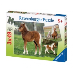 Puzzel ponyvriendschap (3*49)