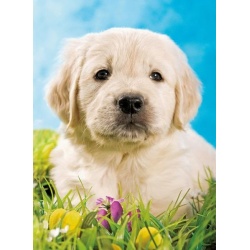 Puzzel Puppy (100)