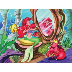 Disney arielles onderwaterwereld (100)