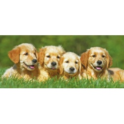 Puzzel schattige viervoeters (200)