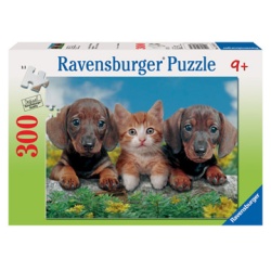 Puzzel de boevenbende (300)