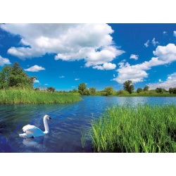 Puzzel Zwanen Idylle (500)