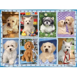 Puzzel puppies (1500)