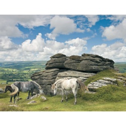 Puzzel paarden in het dartmoor national park (2000)