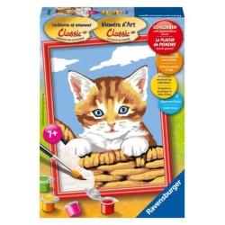Schilderen op Nummer E Kat