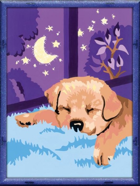 Schilderen op nummer: Slapende puppy