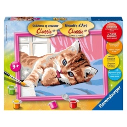 Schilderen op Nummer D Kat