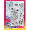 Aquarelle mini - Kat