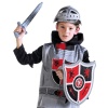 Ses kleding leeuw
