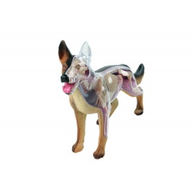02093 Revell X-Ray Hond