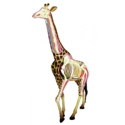 02094 Revell X-Ray Giraffe