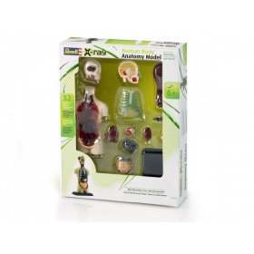 Vergroot 02100 Revell Menselijk Lichaam anatomie model 02100 Revell Menselijk Lichaam anatomie model