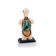 02100 Revell Menselijk Lichaam anatomie model