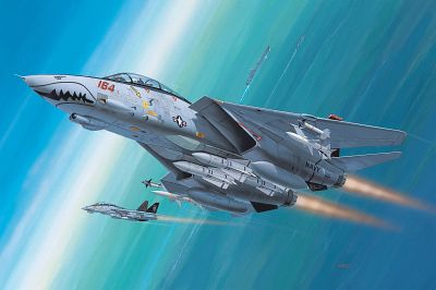 04049 revell f-14d super tomcat [niv 3]