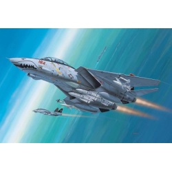 04049 Revell F-14D Super Tomcat [Niv 3]