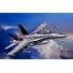 Bekijken 04064 Revell F/A- 18 D Wild Weasel (niv 3)