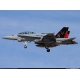 Bekijken 04064 Revell F/A- 18 D Wild Weasel (niv 3)