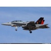 Bekijken 04064 Revell F/A- 18 D Wild Weasel (niv 3)