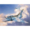 04366 Revell mirage 2000c "tigermeet" [niv 3]