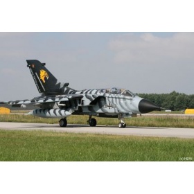 04681 Revell tornado ecr tiger meet 07/08 [niv 5]