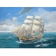 05094 Revell charles w. morgan [niv 5]