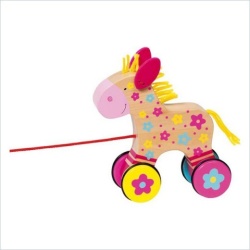 Paard Clara