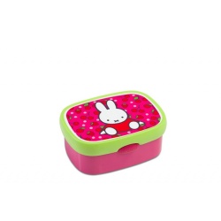 Lunchbox mini Nijntje fruit